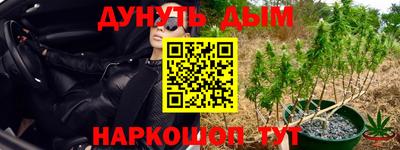 амф Гусь-Хрустальный