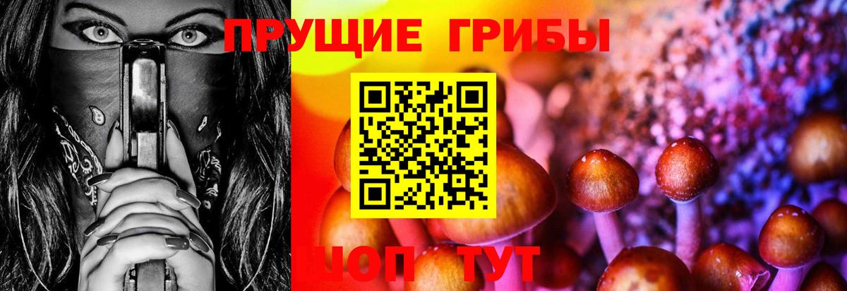 Галлюциногенные грибы мицелий  Галлюциногенные грибы мицелий  Мыски  Вход с VPN 